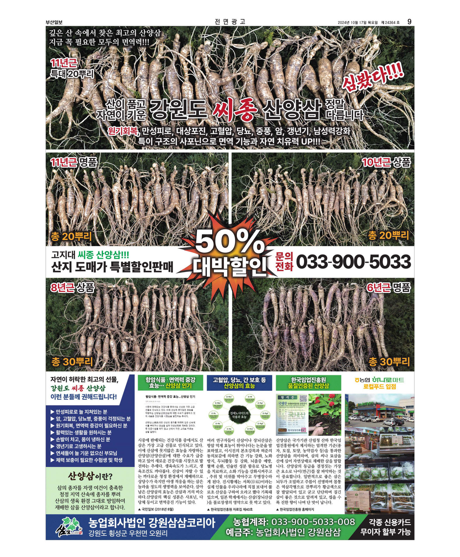 미리보기 이미지