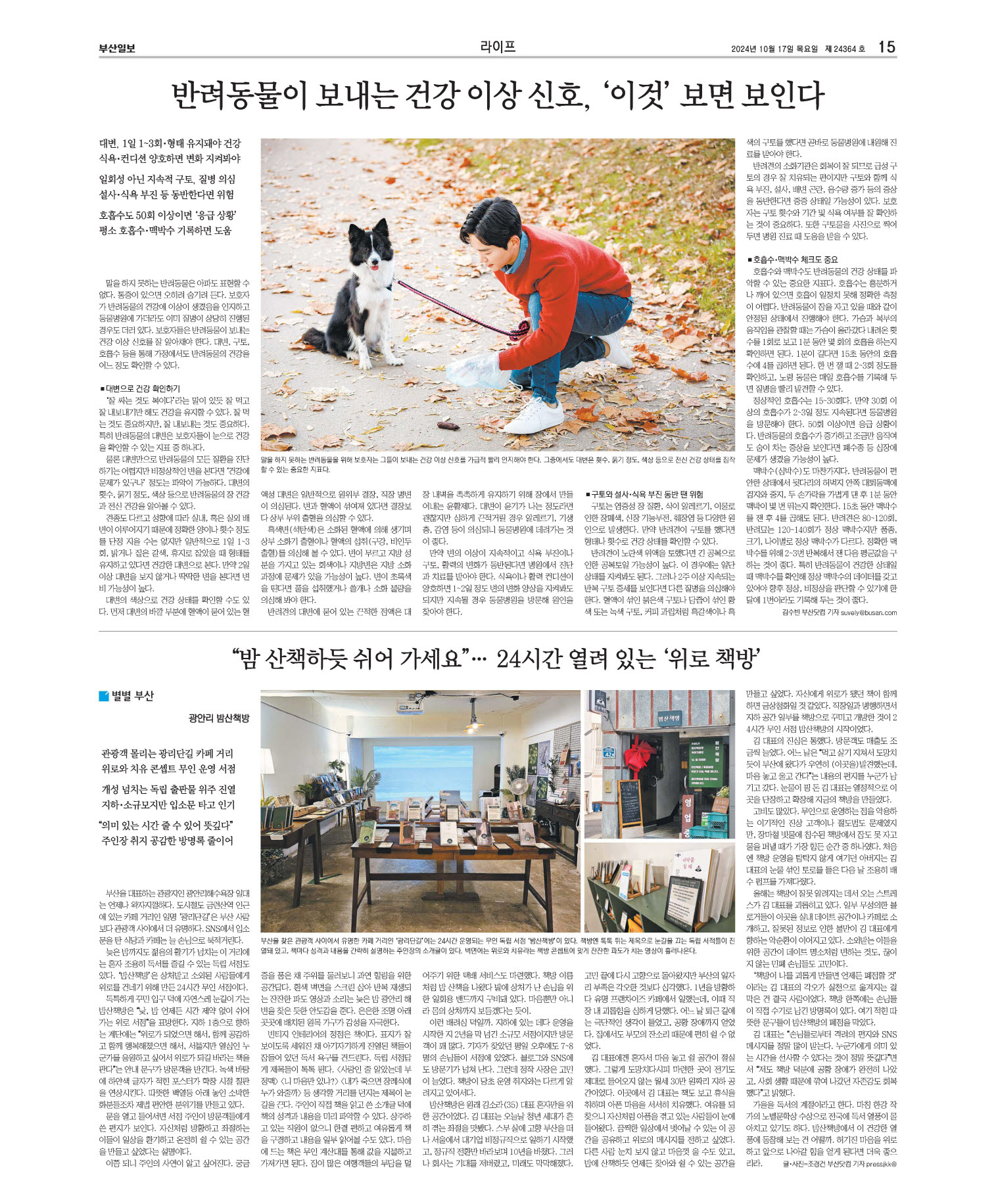 미리보기 이미지