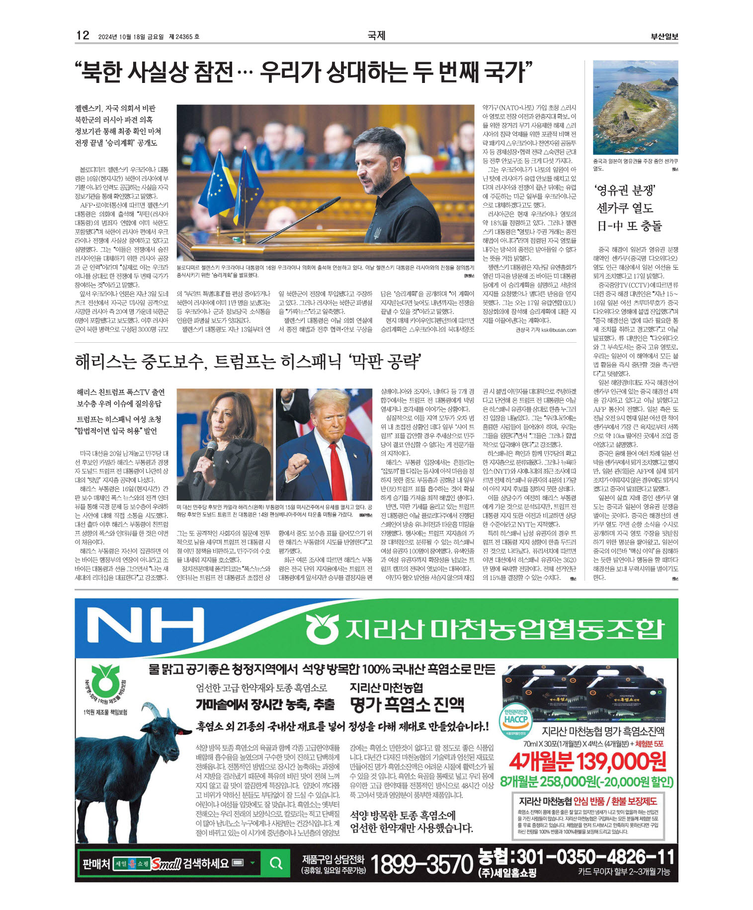 미리보기 이미지