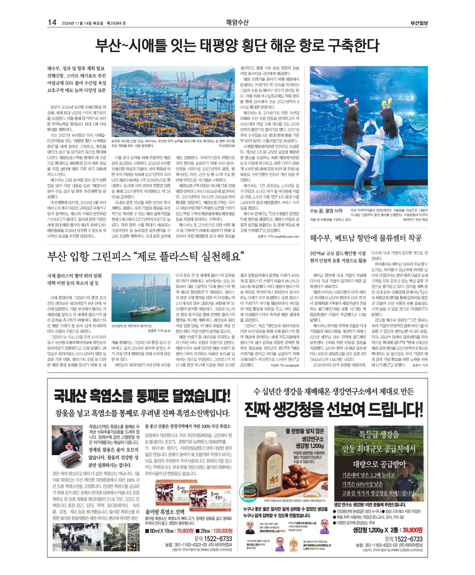 미리보기 이미지