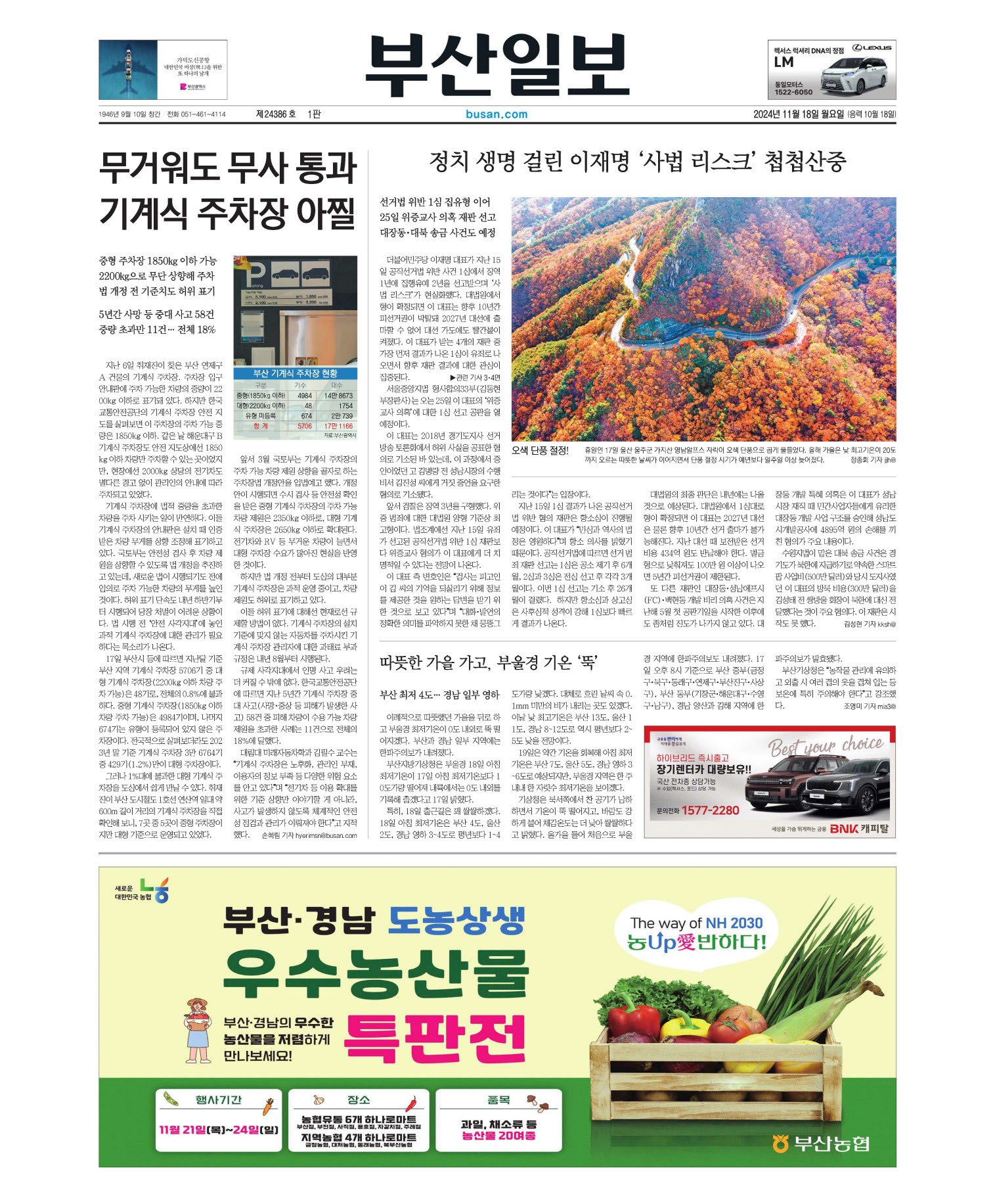 미리보기 이미지