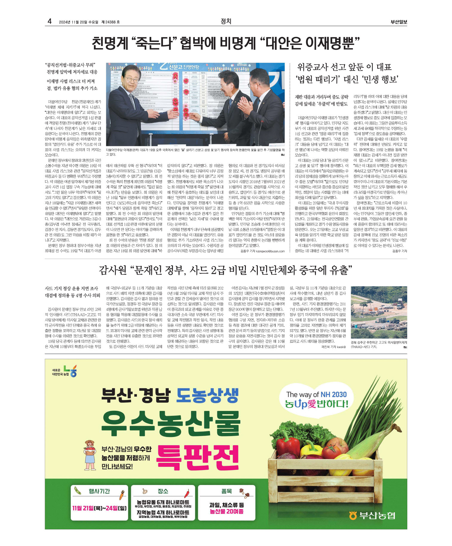 미리보기 이미지