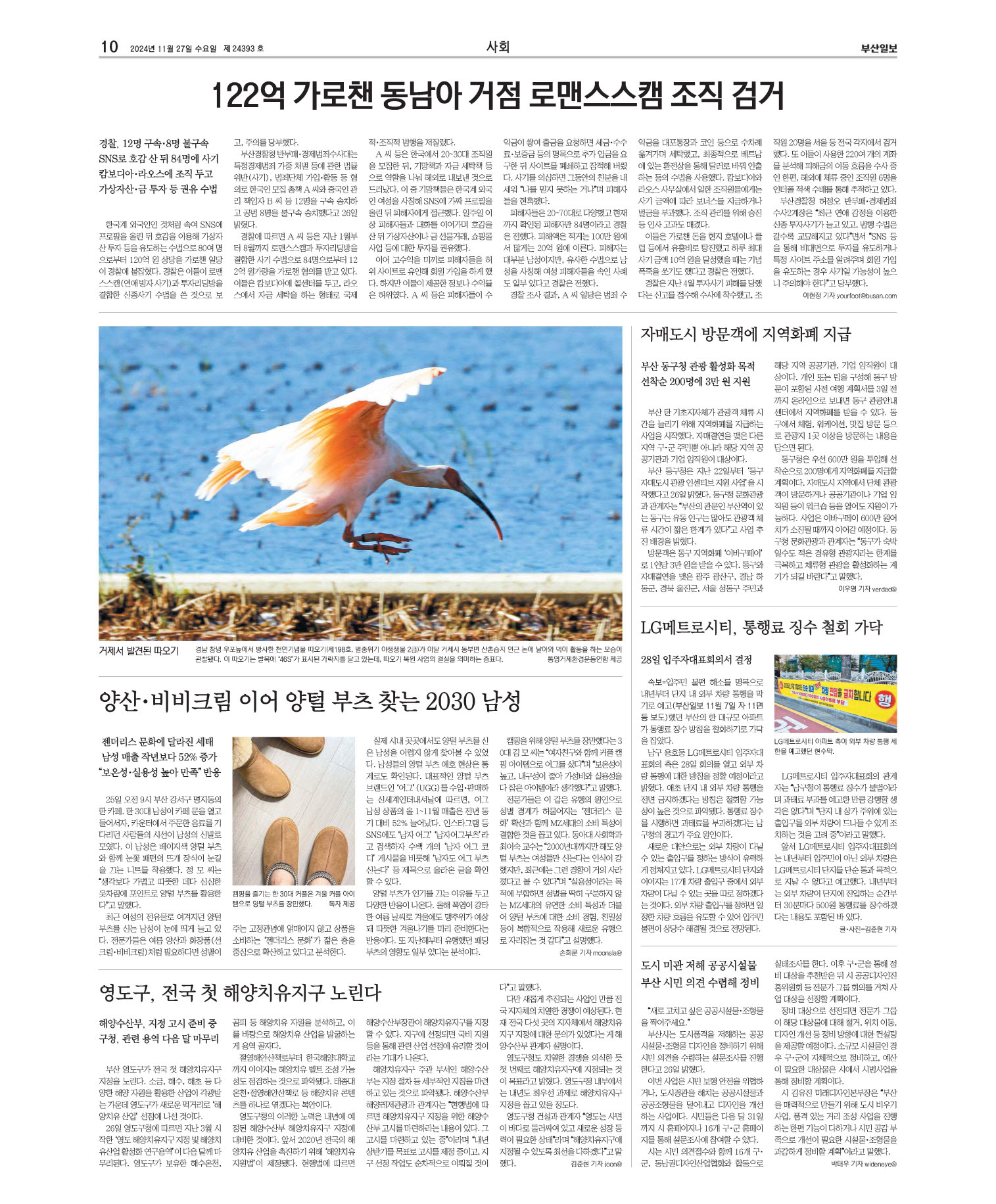 미리보기 이미지