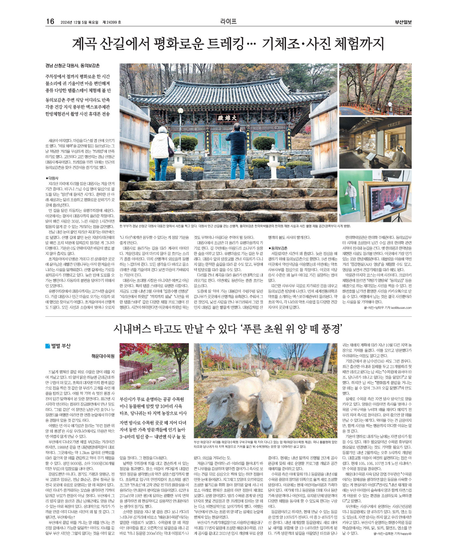 미리보기 이미지
