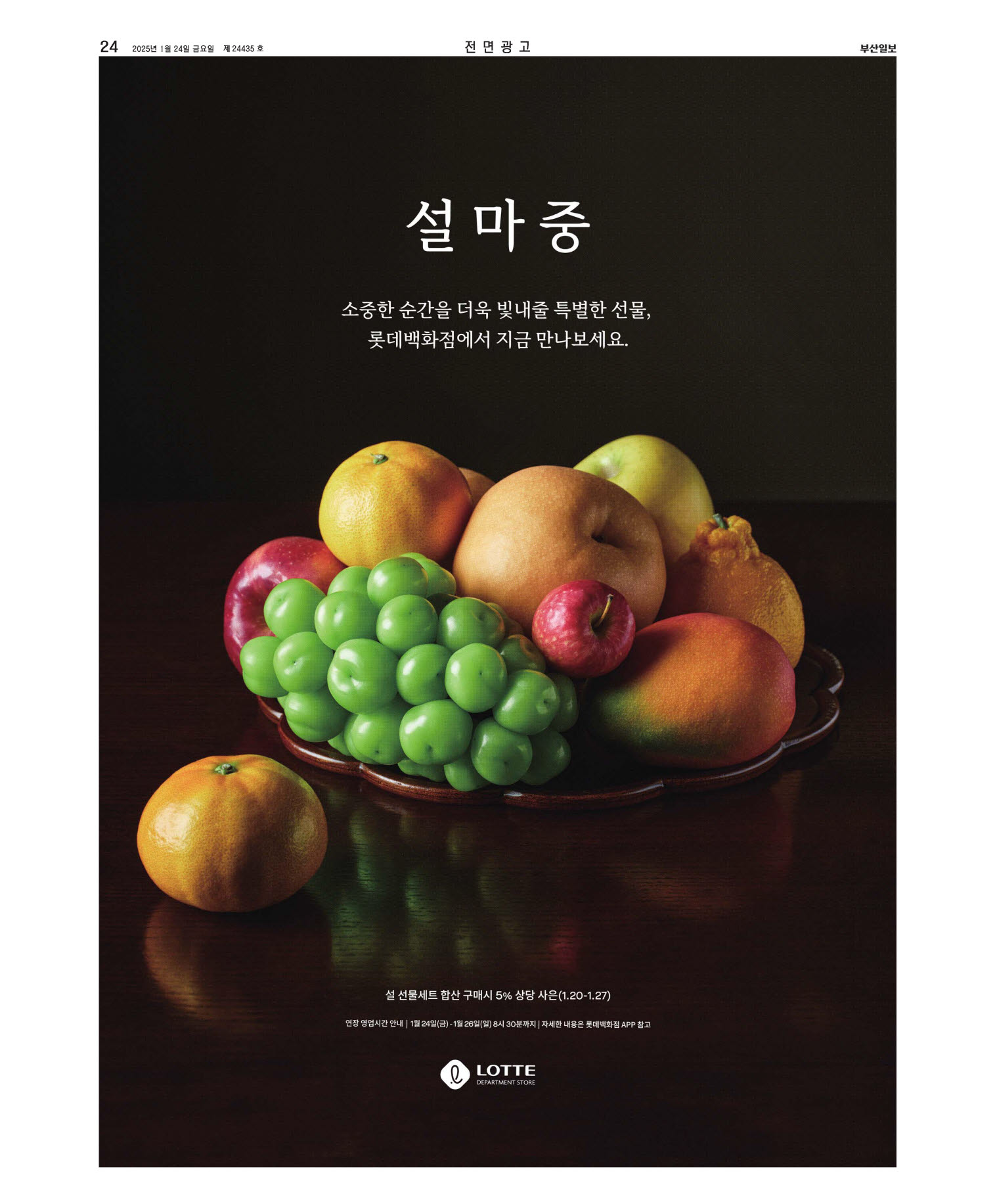 미리보기 이미지