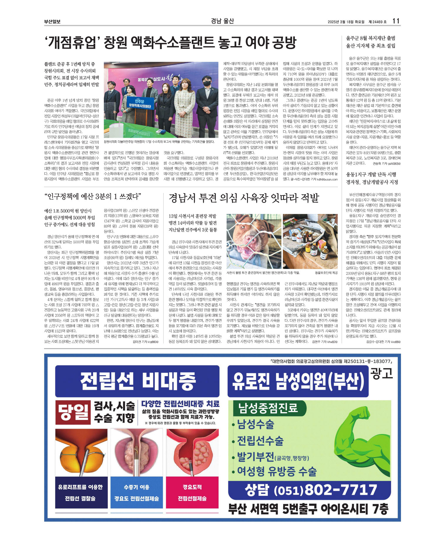 미리보기 이미지