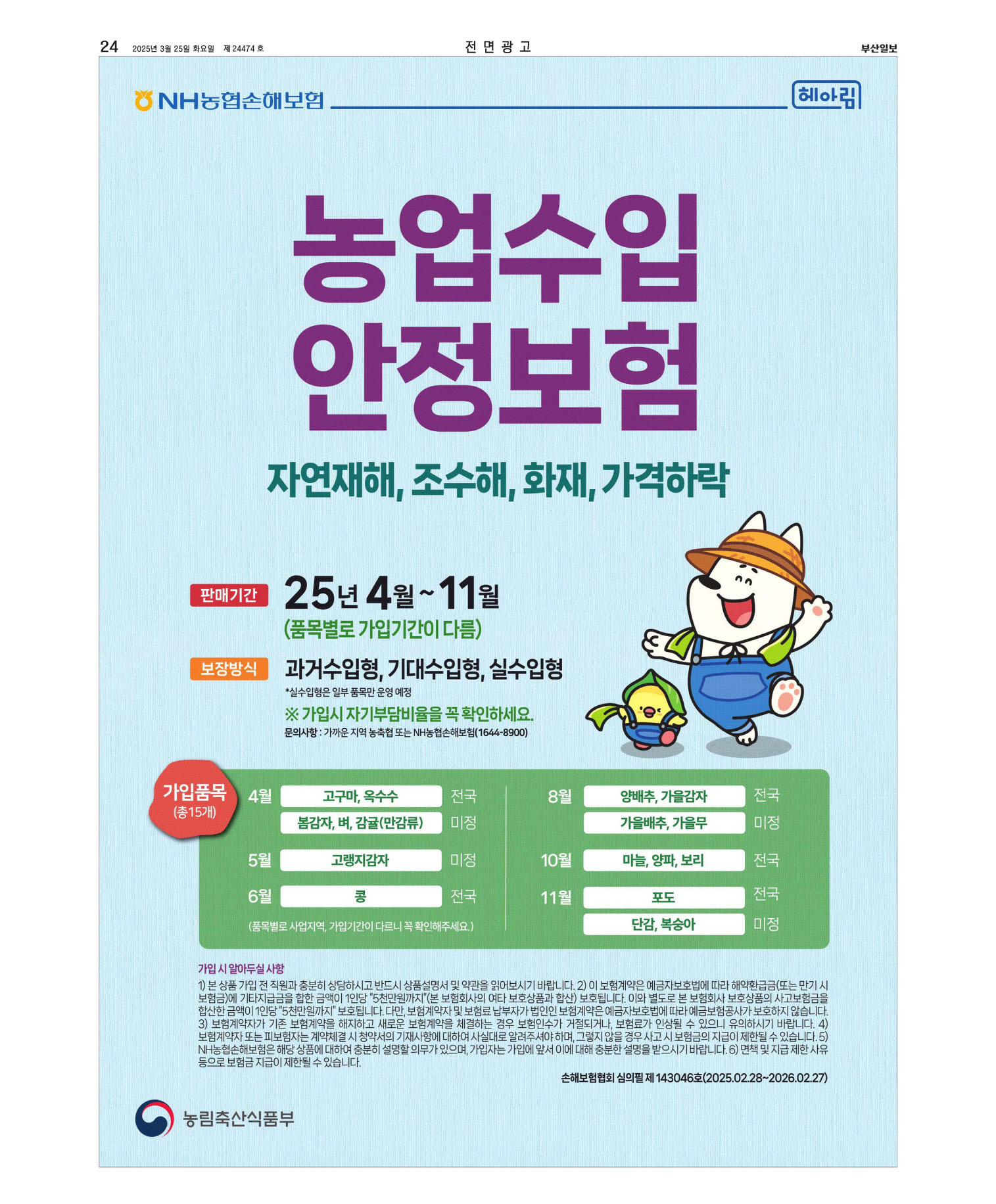 미리보기 이미지