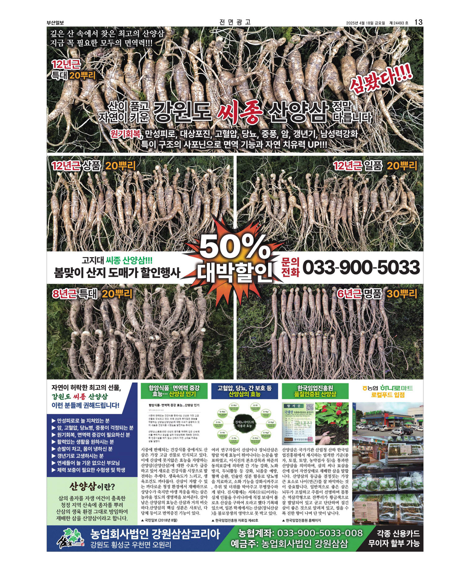 지면보기 오늘의지면 13면 01판 이미지