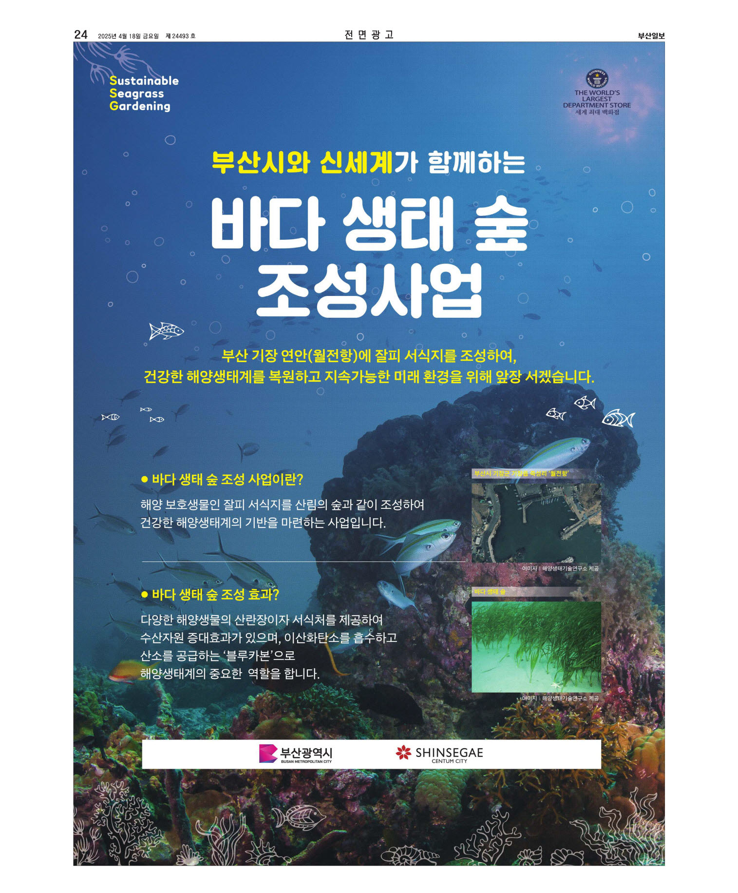 지면보기 오늘의지면 24면 01판 이미지