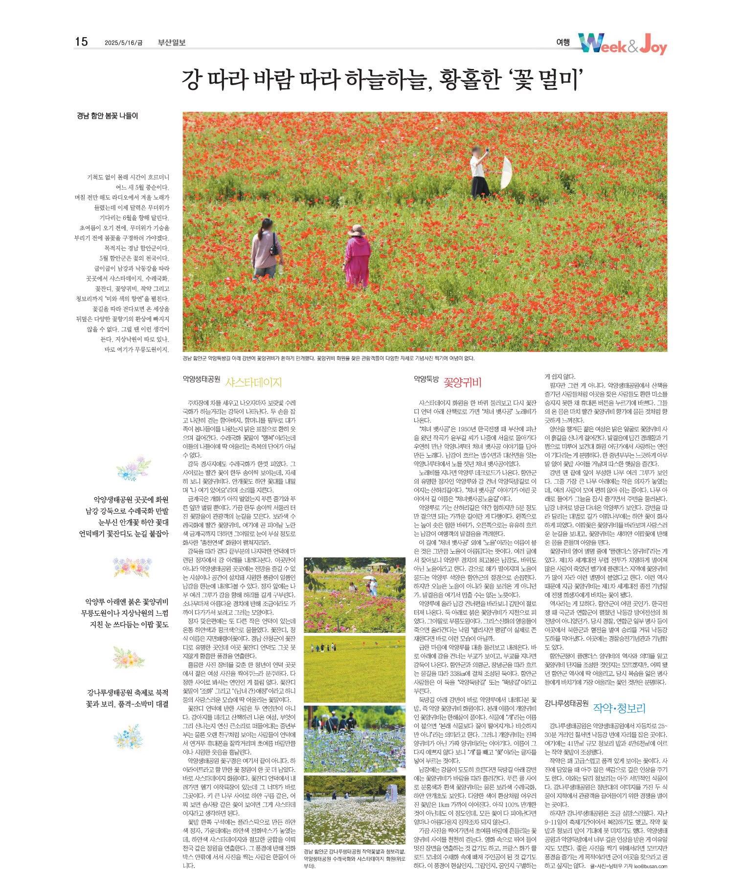 지면보기 오늘의지면 15면 01판 이미지