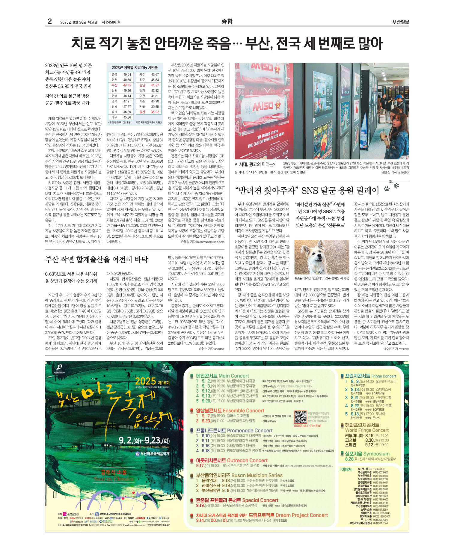 미리보기 이미지