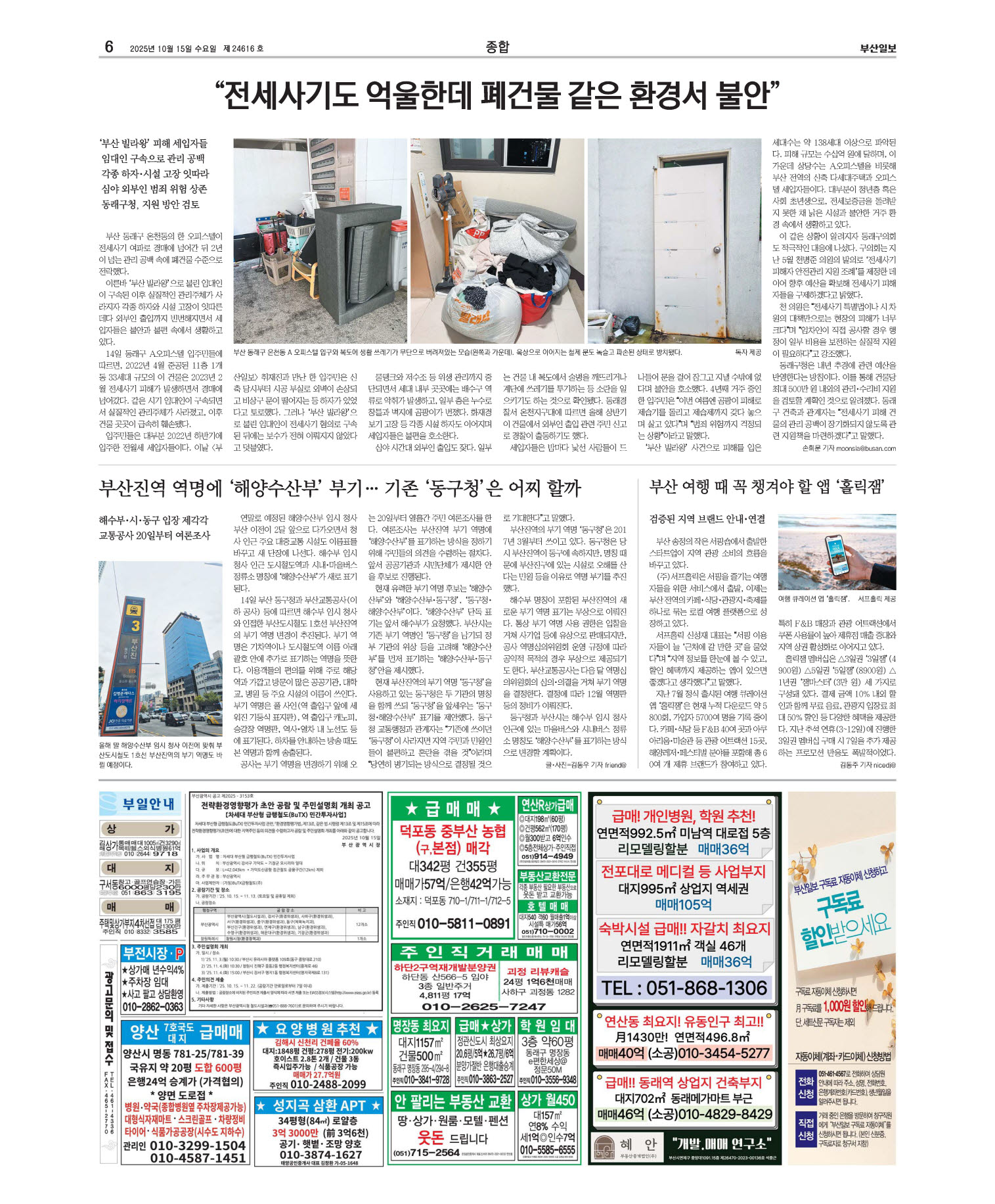 미리보기 이미지