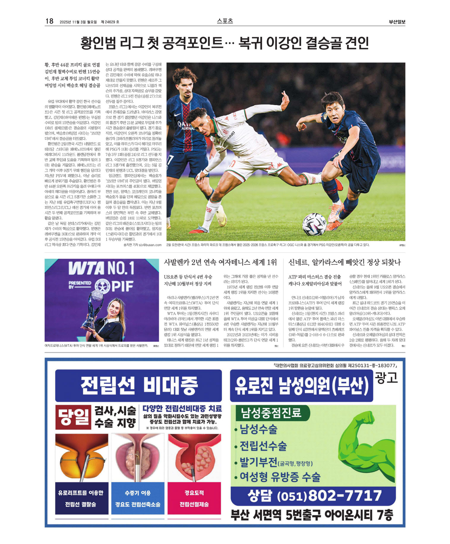 미리보기 이미지