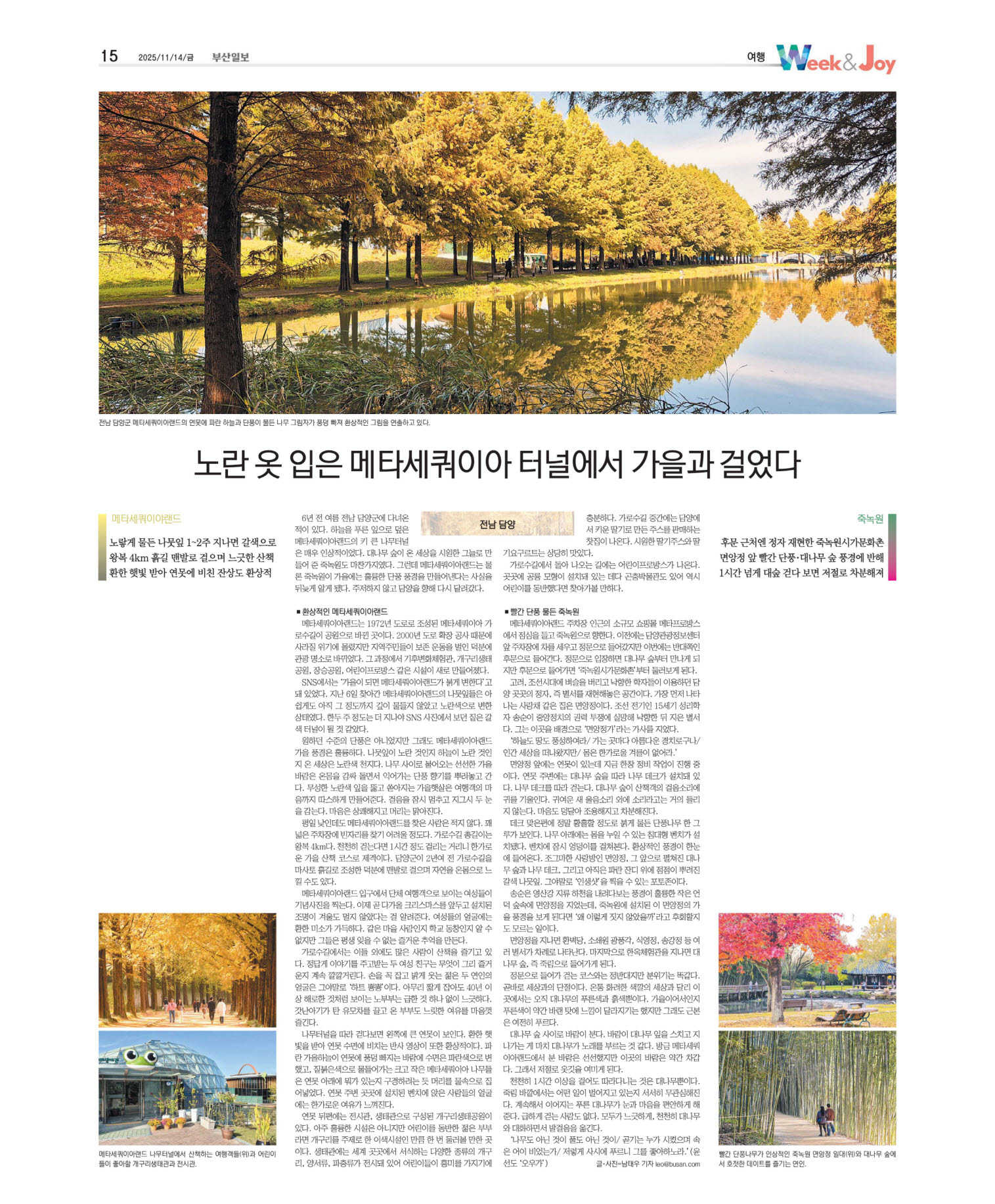 오늘의지면 15면 01판 이미지